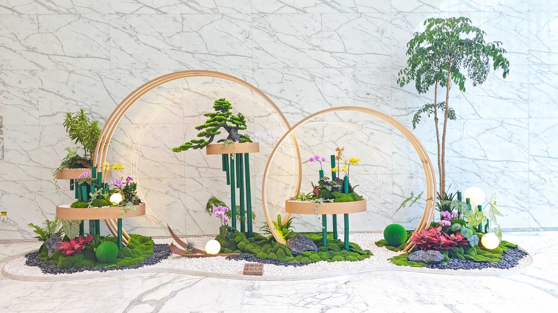 专业余姚盆景租摆,塑造空间别样风情